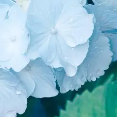 ☆るんるん。様専用