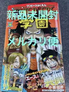 【新品未開封・付録付き】ONE PIECE学園 10　ワンピース学園10巻