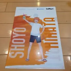 ハイキュー!! クリアファイル 日向翔陽 影山飛雄