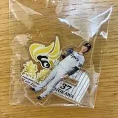 阪神タイガース 漆原大晟 アクリルスタンド 2026