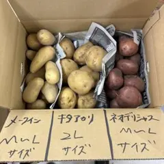 農薬不使用メークイン　キタアカリ　ネオデリシャス　箱込み5.3キロのサムネイル