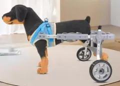 Item thumbnail for item ee65a11b-8513-4f7e-93e6-1efba586ca12