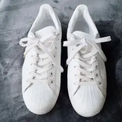 Item thumbnail for item 45a2e3b2-c481-487b-bbd4-5e7f8eb8bd51