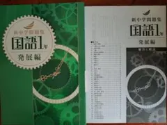 【最新版】 新品 新中学問題集 国語（発展）中１【解答付】のサムネイル