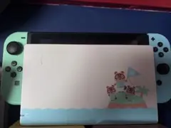Nintendo Switch どうぶつの森デザイン