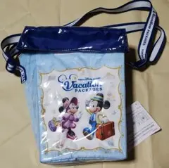 東京ディズニーリゾート バケーションパッケージ