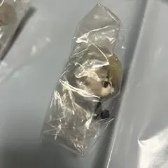 Mrs. GREEN APPLE Ｃ賞 若井滉斗 マスコット