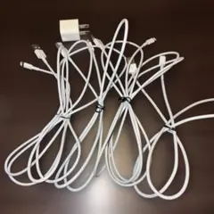 Lightningケーブル4本と充電器セット
