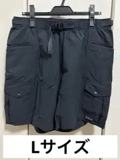 patagonia OUTDOOR EVERYDAY SHORTS サイズL