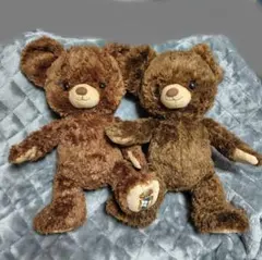 ディズニーストア　ユニベアシティ　モカ　プリン　セット