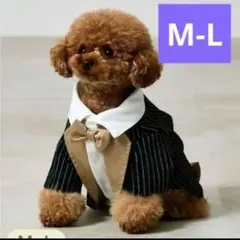 Item thumbnail for item 84b2a690-81fb-4b12-a803-97e166e0c6e8