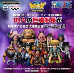 未開封　ワンピース ワールドコレクタブルフィギュア PREMIUM 黒ひげ海賊団