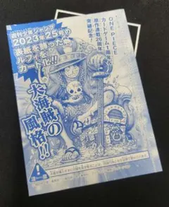 2026年最新】ルフィ プロモ ジャンプ 未開封の人気アイテム - メルカリ
