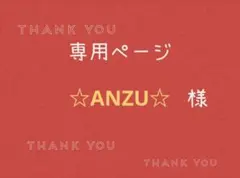 ☆ANZU☆様専用ページです。