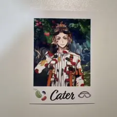 ツイステ展　ランダムカードコレクション　ケイト