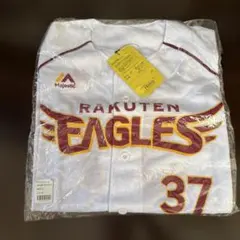 Item thumbnail for item 1d3f23d6-0962-4bec-a5b7-255f590e0a2b