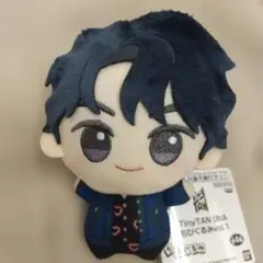 BTS ちびぐるみ TinyTAN DNA ジン