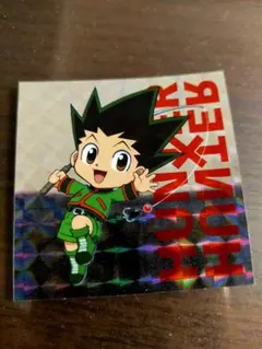 【超希少！人気のレアシール！】HUNTER × HUNTER ウエハース ゴン