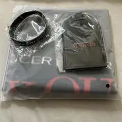 Item thumbnail for item dec285a0-1ce8-4ca7-bef9-9e027bf72ef4