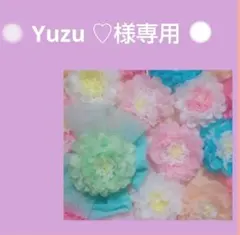 Yuzu ♡様専用