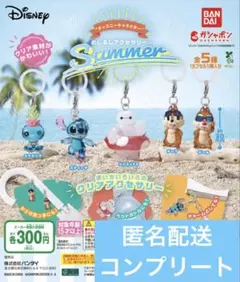 ディズニーキャラクター めじるしアクセサリー SUMMER ５種コンプリート