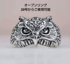 フクロウ　シルバー　リング　ヴィンテージ　エスニック　指輪のサムネイル