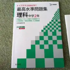 Item thumbnail for item c5ba4338-d3f8-4e4d-b974-2b2193f82d83