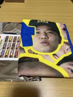 才木浩人　優勝記念シークレット顔柄クリアファイル　阪神タイガース