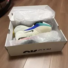 【新品未使用】NIKE エアズーム テンポ ネクスト% FK 29cm