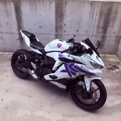 めるかり 2026年最新】zx25r 車体の人気アイテム - メルカリ