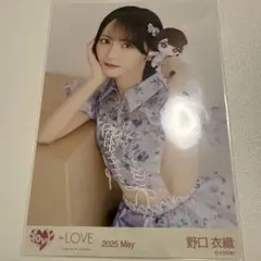 イコラブ = LOVE 生写真 野口衣織 ぬいぐるみマスコット チュウ