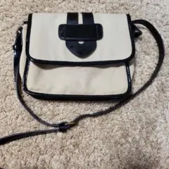 Item thumbnail for item 12fcb900-acfb-40a4-8a9b-7c554ac2689e