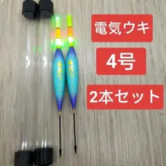 えぼし★プロフ読んでね★様 リクエスト 2点 まとめ商品