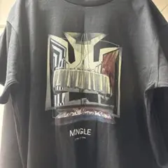 Item thumbnail for item 1f78cc3f-9d49-4a70-bdd9-fa141a4bdab4