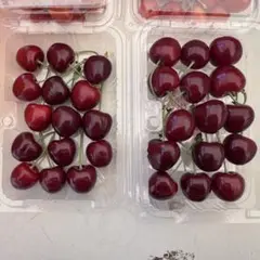 山形県寒河江市産 完熟 高砂 加工用 2kg - メルカリ