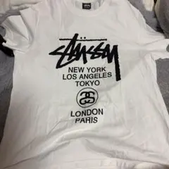 STUSSY Tシャツ Lサイズのサムネイル