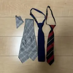 Item thumbnail for item 046e0bfb-13d6-44f7-9b51-494ec50f2e4a