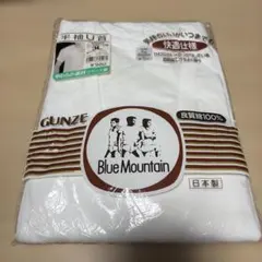 Item thumbnail for item 8279368c-cdc5-4fe0-93ae-fbcc975667ce