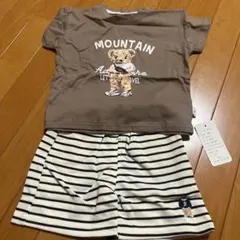 デ*ズ様 くま ボーダー セットアップ Tシャツ キッズ ベビー ホワイト 男女