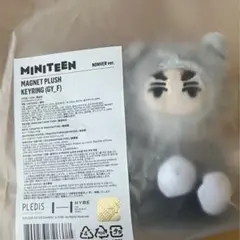 seventeen セブチ miniteen ミニティーン バーノン ノーバン