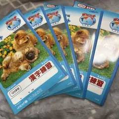 漢字練習ノート 120字詰 5冊セット