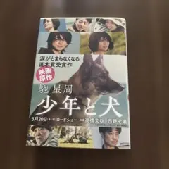 Item thumbnail for item ec1fefd2-b128-4da4-88d7-3c98c7a8528e