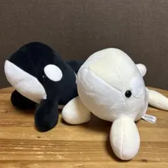 限定】名古屋港水族館 ぬいぐるみくじ シャチ2種類 - メルカリ