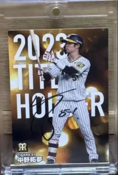 Item thumbnail for item 407fe082-2697-47c4-a4f7-31c79422760f