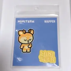 2026年最新】seventeen ワッペンの人気アイテム - メルカリ