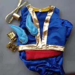 ジーニー　発表会衣装　120