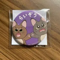 忍たま乱太郎 ナンジャタウン 不破雷蔵 缶バッジ