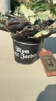 確認用