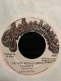 DOYOU REALLY MEAN GOODBYE／Little Ritchie