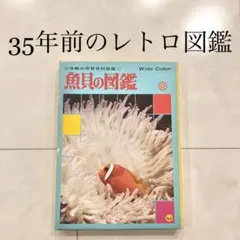#12 小学館の学習百貨図鑑 魚貝の図鑑 레트로 ビンテージ コレクション 学研
